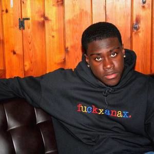 Meet your Posher, Raphael